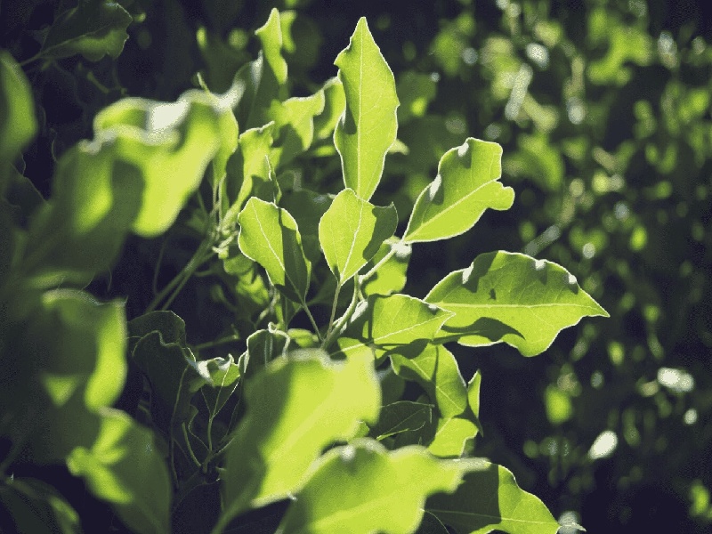 南昌最靠谱的代生,代生咨询：在南昌公立医院可